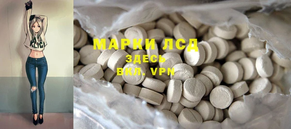 тгк Алзамай