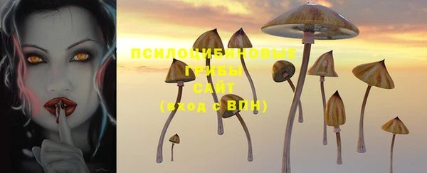 скорость Алексин