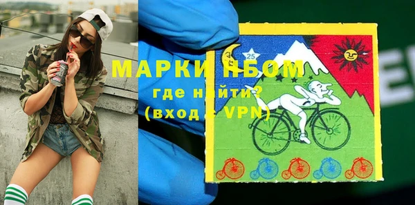 тгк Алзамай
