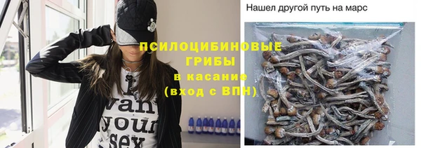 тгк Алзамай