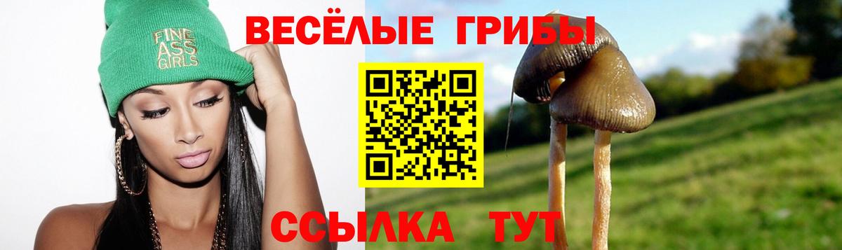 где найти   Псилоцибиновые грибы Psilocybine cubensis  Кольчугино  Вход с VPN  Псилоцибиновые грибы мухоморы 